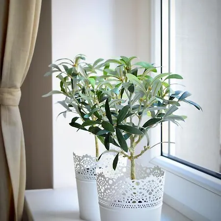 Apartament Zydowska Appartement