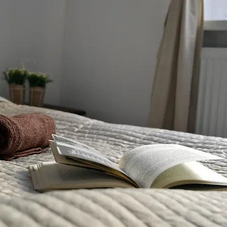 Appartement Apartament Zydowska Poznań